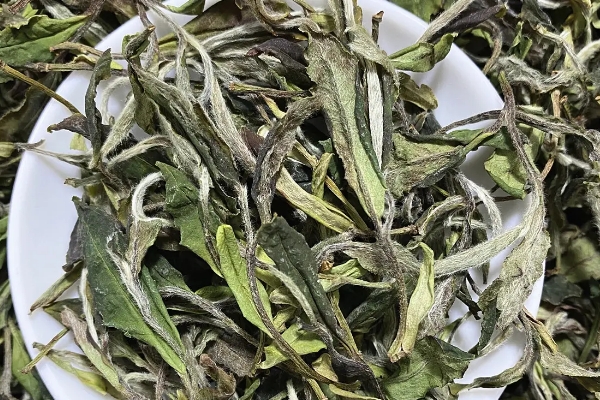 福鼎白茶的优缺点，喝福鼎白茶的功效和禁忌