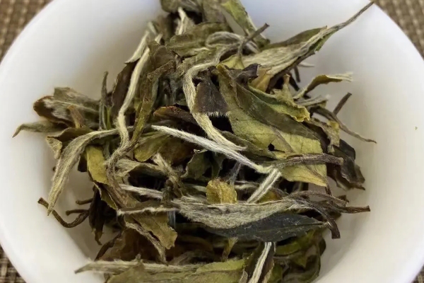 福鼎白茶的优缺点，喝福鼎白茶的功效和禁忌