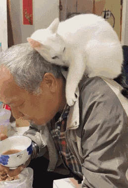 猫猫耶24小时自助下单网站，真的能提供全天候服务吗？-图2