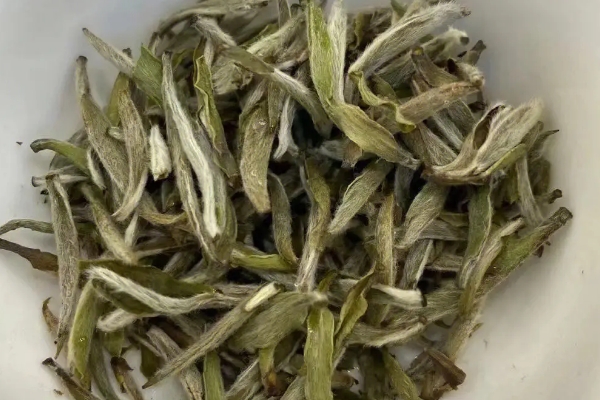 福鼎白茶的优缺点，喝福鼎白茶的功效和禁忌