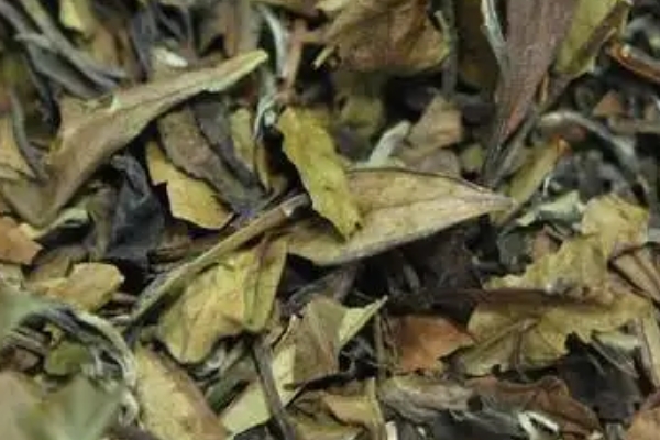 福鼎白茶贵不贵，价格从几百到几千元不等